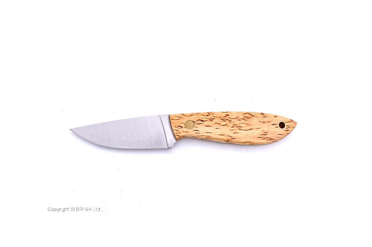 (ID18168)