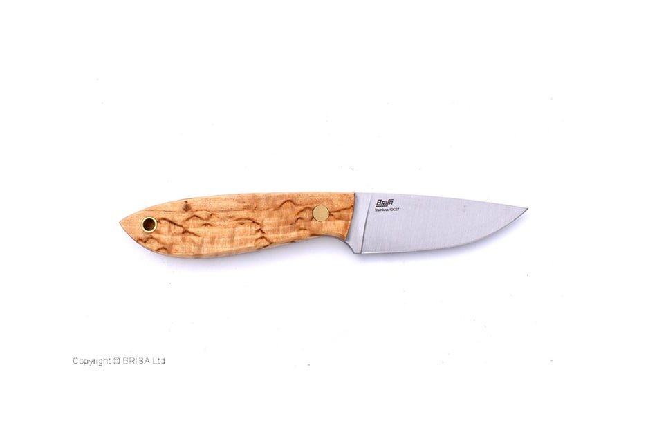 (ID18164)