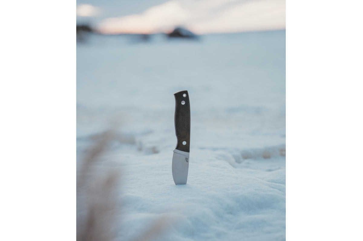 (ID15656)