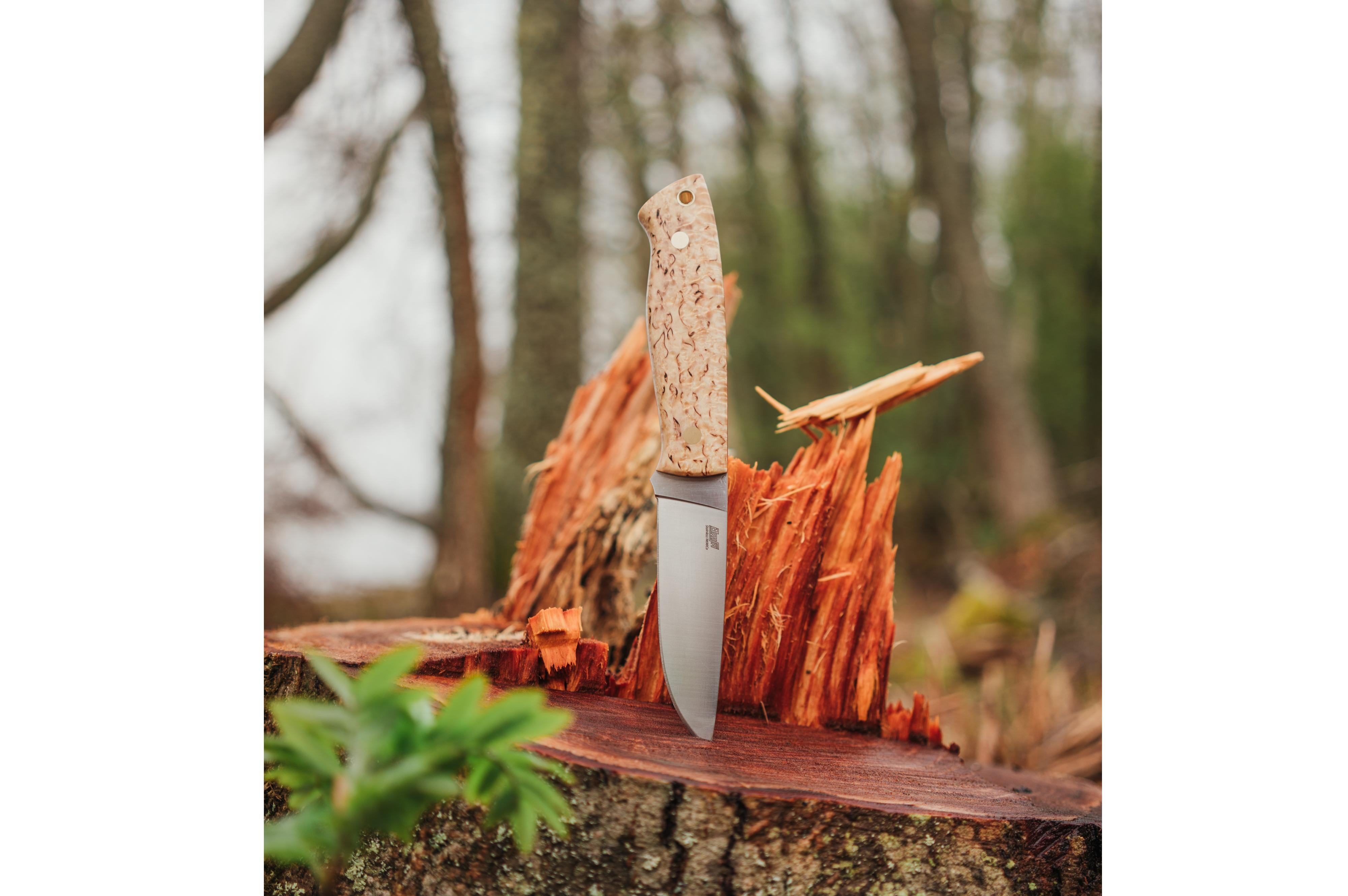 Brisa Trapper 95  -  stabilized curly birch