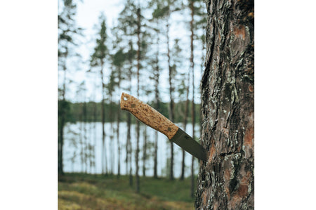 Brisa Trapper 95  -  stabilized curly birch