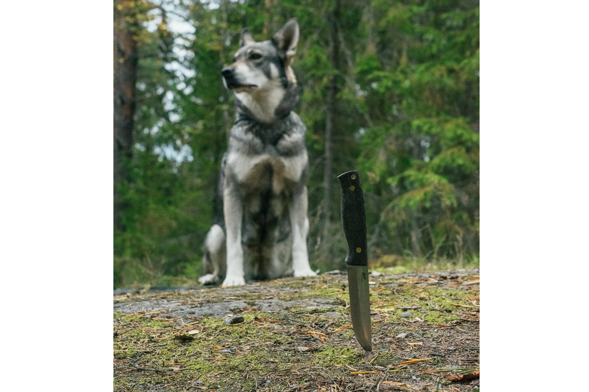 (ID15564)
