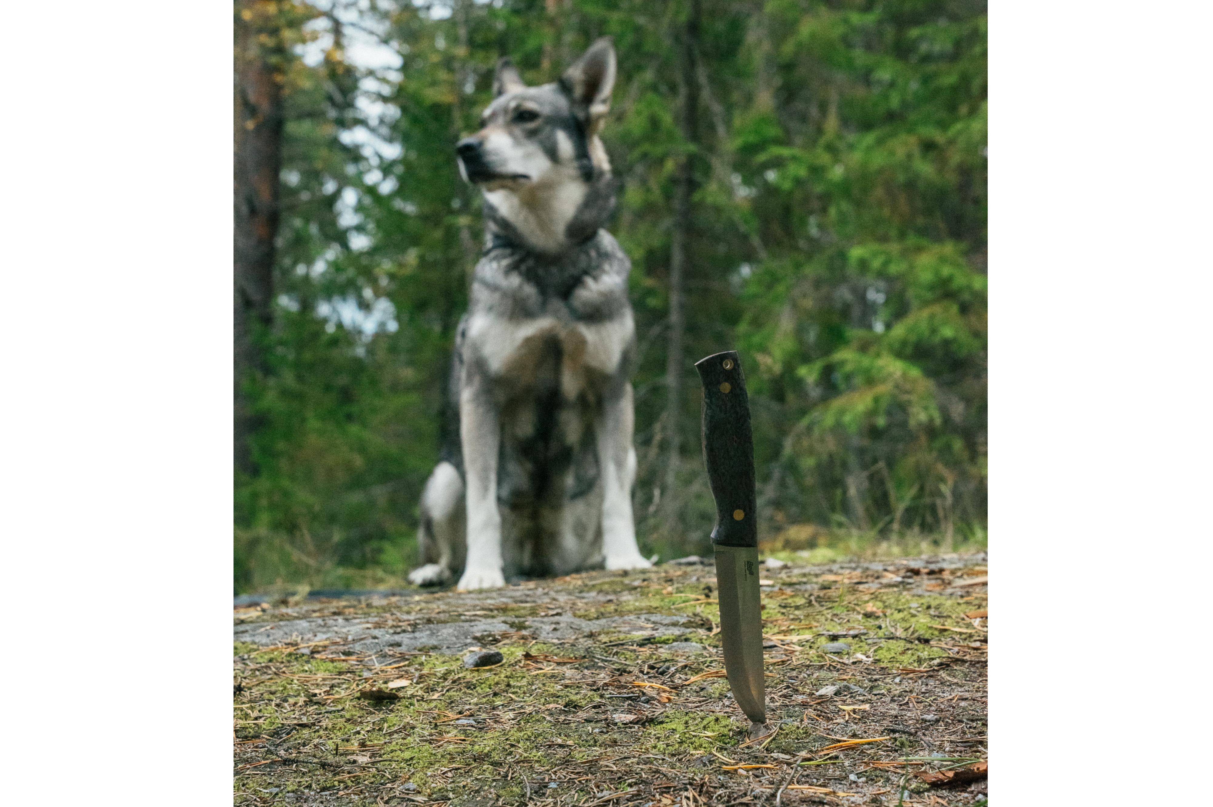 (ID15564)