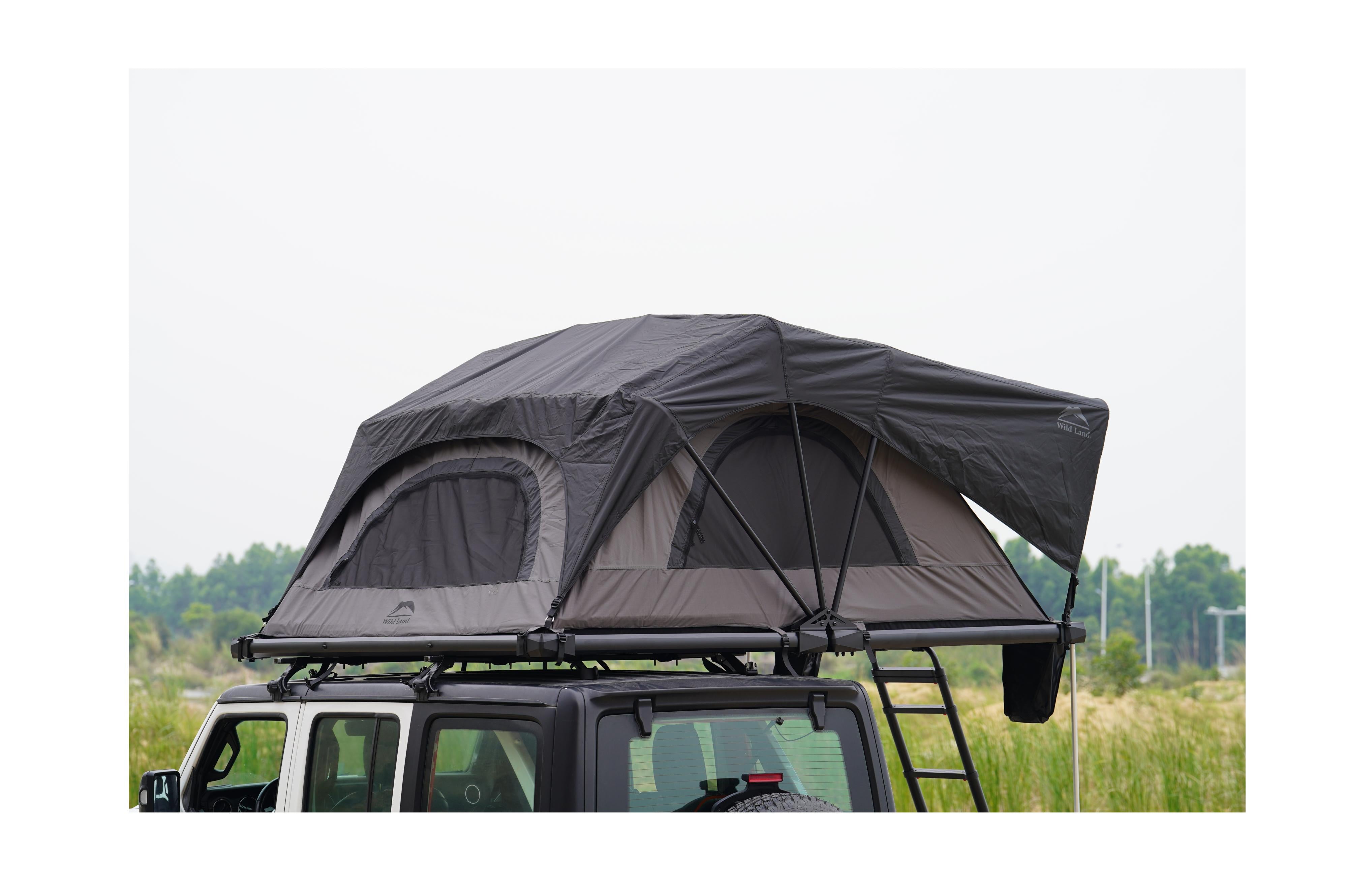 Wild Cruiser Pro 250